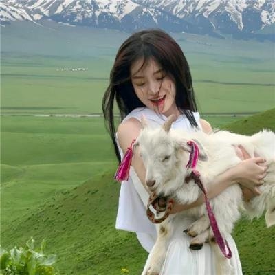 金钻裁女