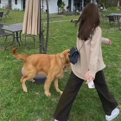 在星光掩映下